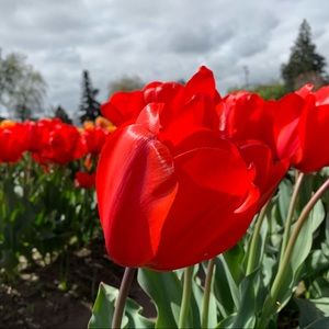 Meet your Posher, Katy